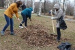 В Лесном завершился второй этап общегородского субботника