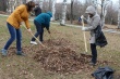 В Лесном продолжаются субботники