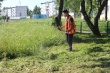 Ведутся работы по скашиванию травы 