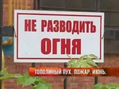 Осторожно -тополиный пух