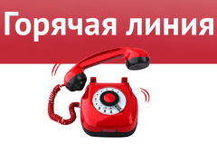 «Горячая линия» для сообщения о фактах сдачи физическими лицами жилых помещений в аренду