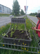 Продолжаются работы по озеленению города
